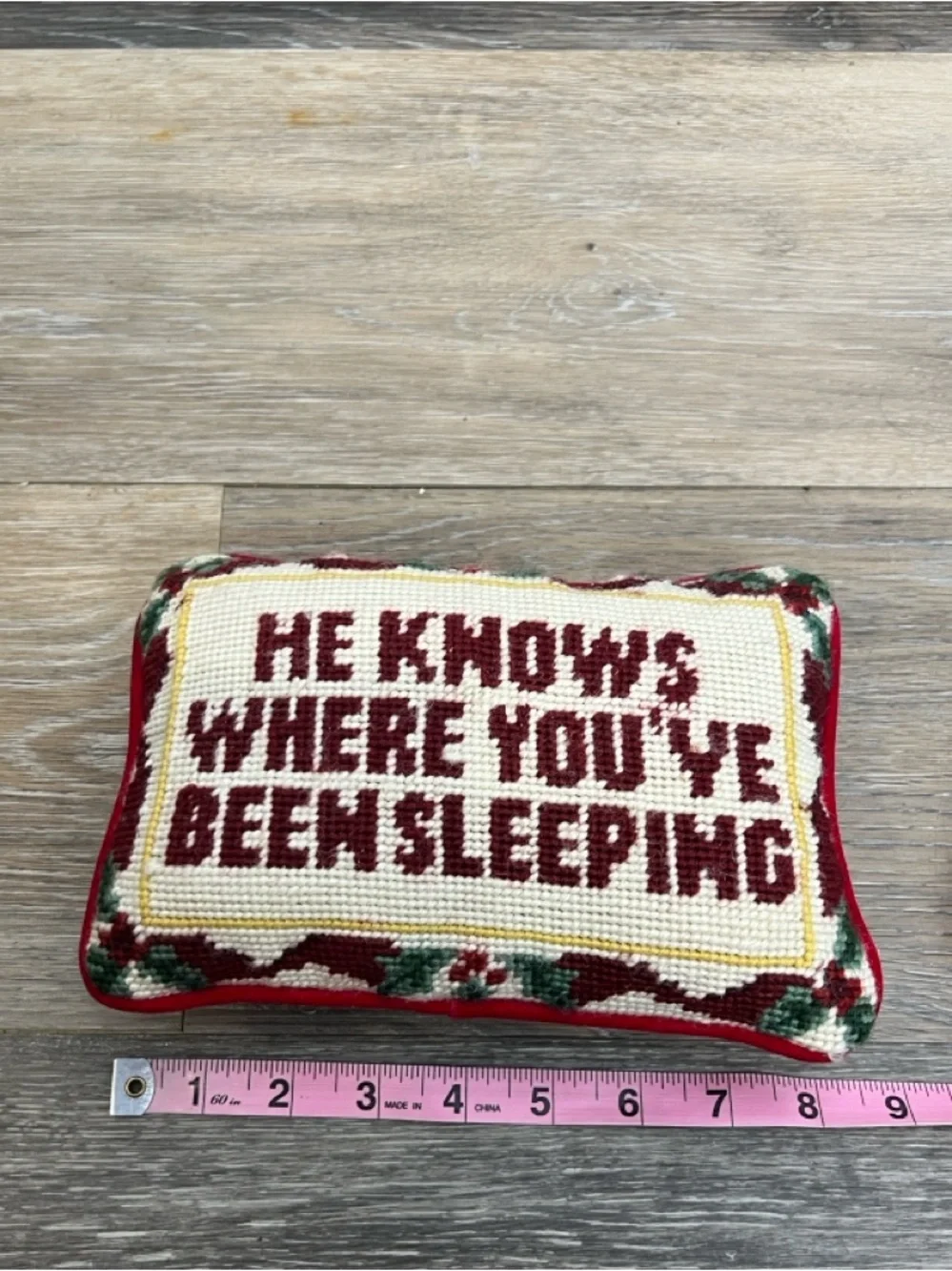 He knows where you’ve been sleeping needle point pillow